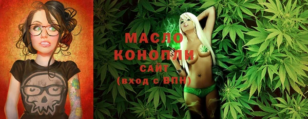 дмт Алексин