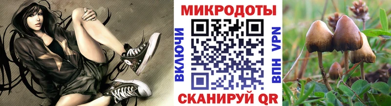 Псилоцибиновые грибы мухоморы  hydra рабочий сайт  Архангельск 